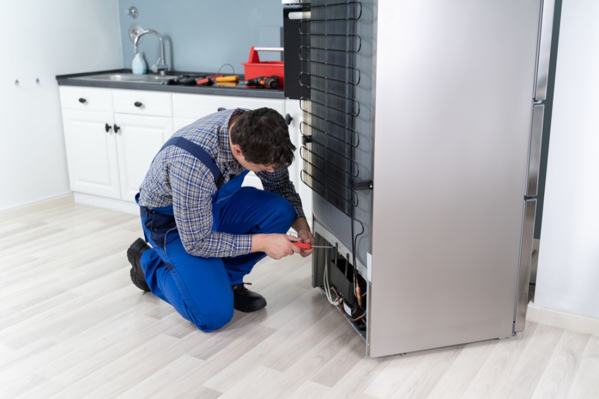 Blomberg Refrigerator Repair in Toronto